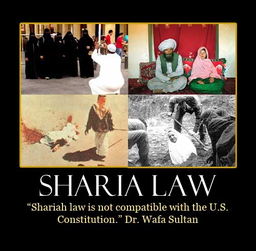 What is Islamic law or sharia, shariah?